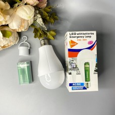 LED лампа на аккумуляторе E27 20W (2 аккумулятора)